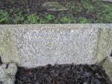 image of grave number 608033
